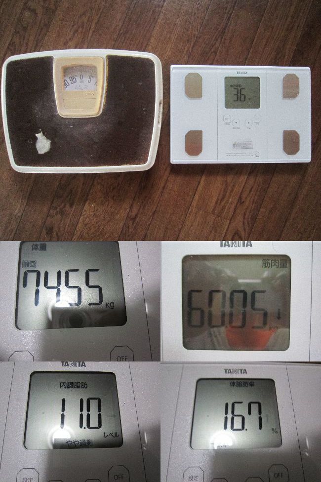 (PR2025)_CGbgɃ_CGbgTvg͕sv@^Ȃł̓_CGbg͖