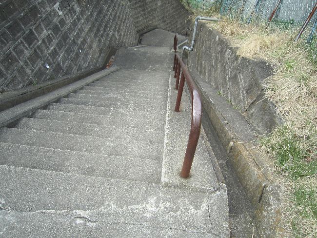 (PR2025)_CGbgɃ_CGbgTvg͕sv@^Ȃł̓_CGbg͖